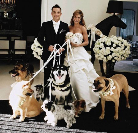 Matrimonio, Abbigliamento e accessori per cani