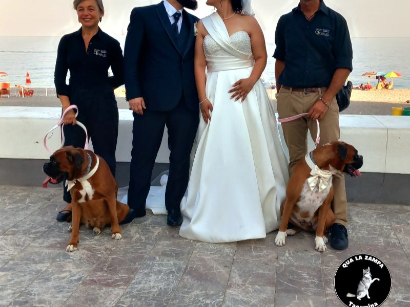 Wedding Dog Service - Qualazampa Taormina
