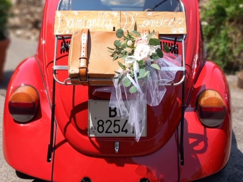 Wedding Dog Service - Qualazampa Taormina