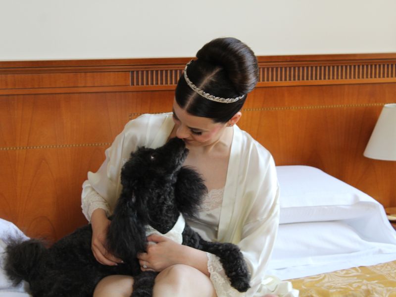 Wedding Dog Service - Qualazampa Taormina