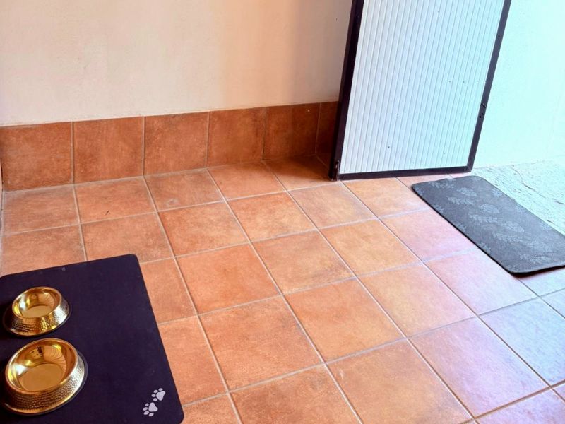 Suite Dog - Cibo e Accessori per Animali Domestici a Taormina