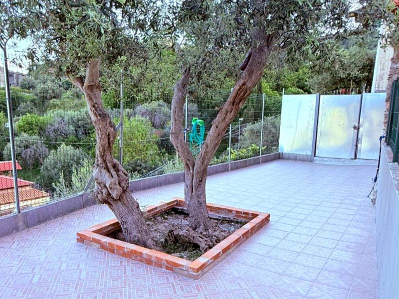 Suite Dog - Cibo e Accessori per Animali Domestici a Taormina