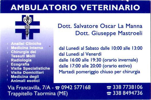 Dog sitter e taxi dog a Taormina per la cura del tuo cane, gatto o cucciolo