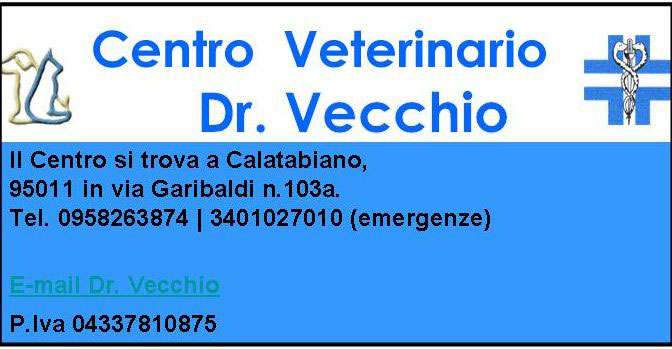 Servizi per animali domestici | Pensione per cani